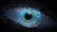 [Перевод] 7 поразительных примеров сходства между Вселенной и человеческим телом