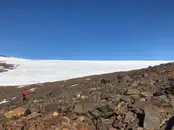 В Антарктиде нашли бактерии, которых больше нигде на земле нет