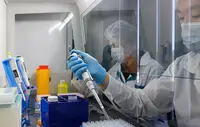В органах нашли следы коронавируса спустя почти три года после COVID-19