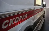 В Брянской области при ударе дрона-камикадзе ВСУ погибла женщина