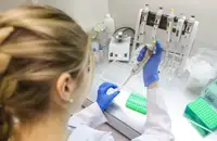 Биоинформатики СПбГУ раскрыли механизм эволюции природных токсинов, воздействующих на насекомых-вредителей