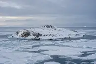 В РАН предсказали ежегодное появление новых островов в России из-за таяния льдов