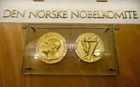 Нобелевская премия мира: история, лауреаты, денежный эквивалент