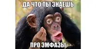 Silero TTS v5 теперь умеет и в эмфазы, и в вопросы и восклицания