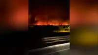 В Анталье второй день тушат лесные пожары