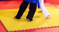 Исполком ФИАС поддержал вынесение на Конгресс вопроса о признании Sambo Europe во главе с Амаряном