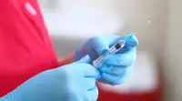 В России с октября вакциной «Аллергарда» планируют привить до 60 тысяч пациентов