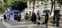 Республика Чили искоренила передаваемое собаками бешенство людей