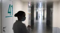 Инфекционист Миропольская: вирус Шамонда может попасть в Россию с животными