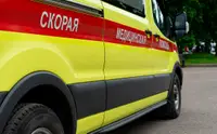 При нападении медведя в Иркутской области погибли двое мужчин