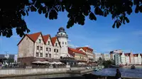 Елена Дятлова избрана на пост главы Калининграда
