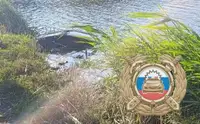 Четыре человека погибли после падения автомобиля в пруд под Самойловкой