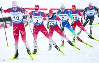 Минспорт обозначил задачи перед федерацией лыжного спорта