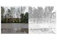 Pillow для обработки изображений: все фильтры от А до Я