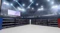 Кремлёв: победители следующего чемпионата мира IBA получат по $1 млн