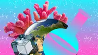 Тематическая площадка «Вещества и материалы — Земля и космос» откроется на фестивале НАУКА 0+ с 10 по 11 октября
