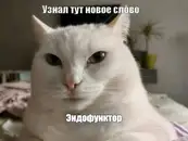 Я несколько месяцев изучал теорию категорий. Вот зачем она оказалась нужна мне как программисту