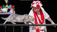 «Пауза мёртвого человека»: Куклачёв раскрыл необычный способ борьбы с аллергией