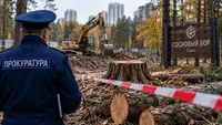 Вырубили деревья без разрешений: Прокуратура остановила работы в парке Новосибирска