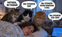 Очередное обновление Windows всё сломало. Что говорит Microsoft