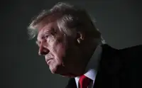 Bild узнал о тревожности в Киеве из-за решения Трампа по России