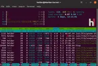 Подозрительные процессы в Linux: как найти неизвестную службу, сетевое соединение и автозапуск