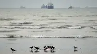 Цены на нефть повышаются на фоне новых атак на суда в Ормузском проливе