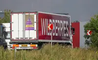 Wildberries провел пилотные выпуски цифровых активов для продавцов