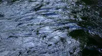 На Ямале ожидается опасное снижение уровня воды в реке Таз