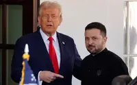 Как Трамп ругал и хвалил Зеленского. Хроника противоречий США и Украины