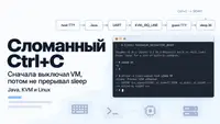 Сломанный Ctrl+C — сначала гасла VM, а потом не прерывался sleep: Java, KVM и Linux