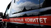В Екатеринбурге завели дело после нападения пассажирки на пожилого кондуктора