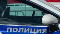 7-летнюю девочку силой пытались забрать у матери в Москве, под подозрением — экс-супруг