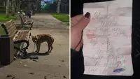 «Меня забрали ТЦК, приютите Леона»: На Украине пёс остался один на лавочке с запиской от хозяина