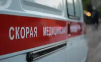 В Брянской области два грибника подорвались на взрывном устройстве