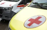 В Брянской области при подрыве взрывного устройства погиб человек