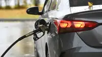 ФАС возбудила 67 дел из-за нарушений на топливном рынке России
