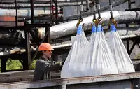 РАПУ допустила рекордные поставки удобрений из РФ в Африку в 2026 году