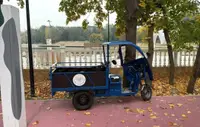 В Кисловодске шестилетняя девочка врезалась в дерево на электротележке