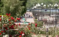 На развитие регионов Донбасса и Новороссии направят более 865 млрд рублей