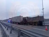 Семь человек пострадали в ДТП с автобусом и двумя грузовиками в Татарстане