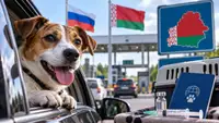 Прививка за 500 км: Россияне повезли собак в Белоруссию после истории с «Мультиканом»