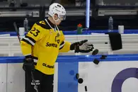 Тренер «Северстали» Козырев рассказал о состоянии здоровья Адама Лишки
