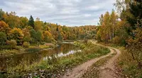 «Выбор женихов» и «пчелиная девятина»: традиции Трофимова дня на Руси