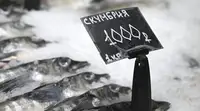 Роскачество зафиксировало нарушения у 15 марок консервов из скумбрии