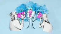 [Перевод] Наблюдение за птицами перестраивает мозг и замедляет снижение когнитивных способностей