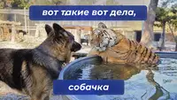 Запрещенные площадки для рекламы: как не нарваться на штраф в 2026/27 году?