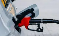Россиянина оштрафовали за завязанные в узлы шланги на АЗС